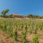 Tenuta Petra Bianca Agroturismo