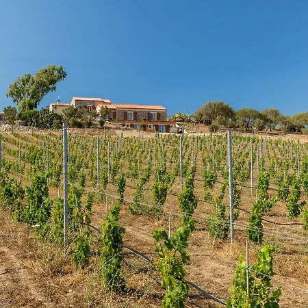 Tenuta Petra Bianca Farm stay