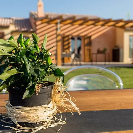 Tenuta Petra Bianca