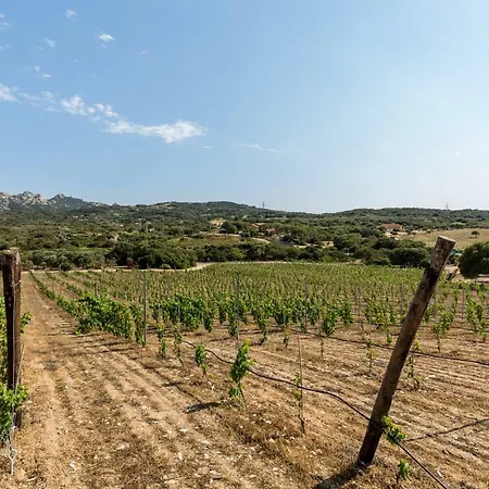Tenuta Petra Bianca Palau