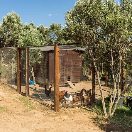 Tenuta Petra Bianca Farm stay Palau