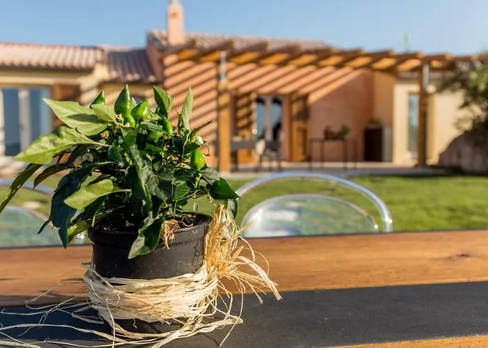 Tenuta Petra Bianca