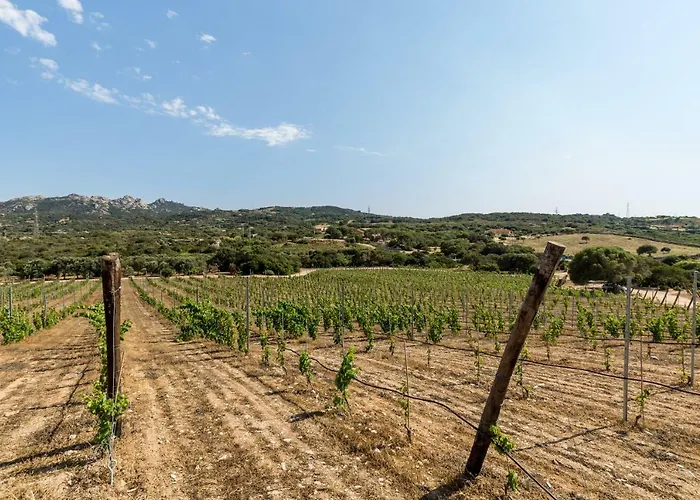 Tenuta Petra Bianca Палау
